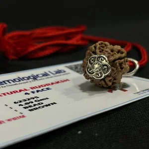 4 Mukhi Nepali Rudraksha - Chaar Mukhi