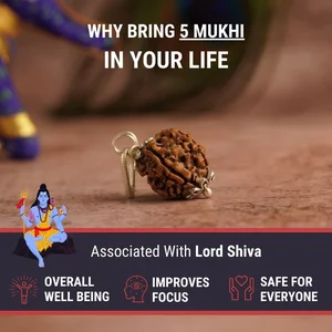 Gold Plated Rudraksha Bracelet For Men