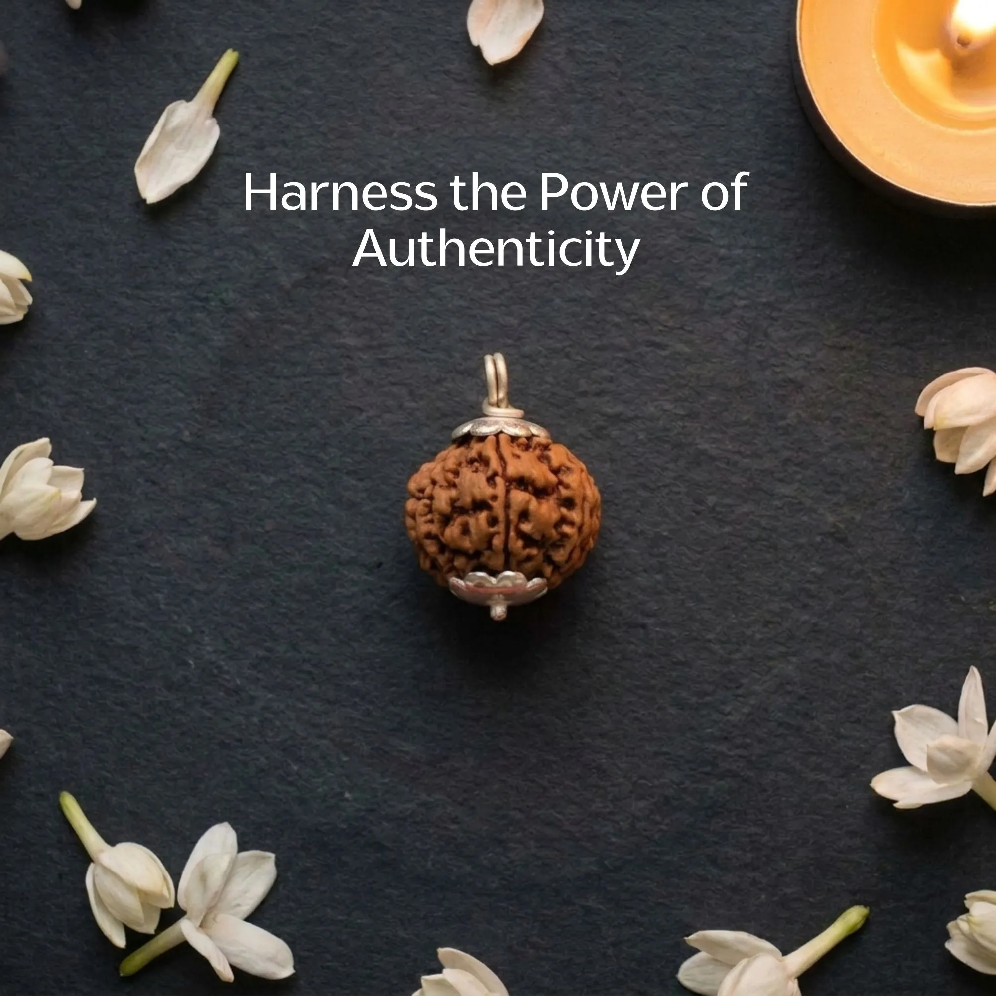 7 Mukhi Nepali Rudraksha - Saat Mukhi