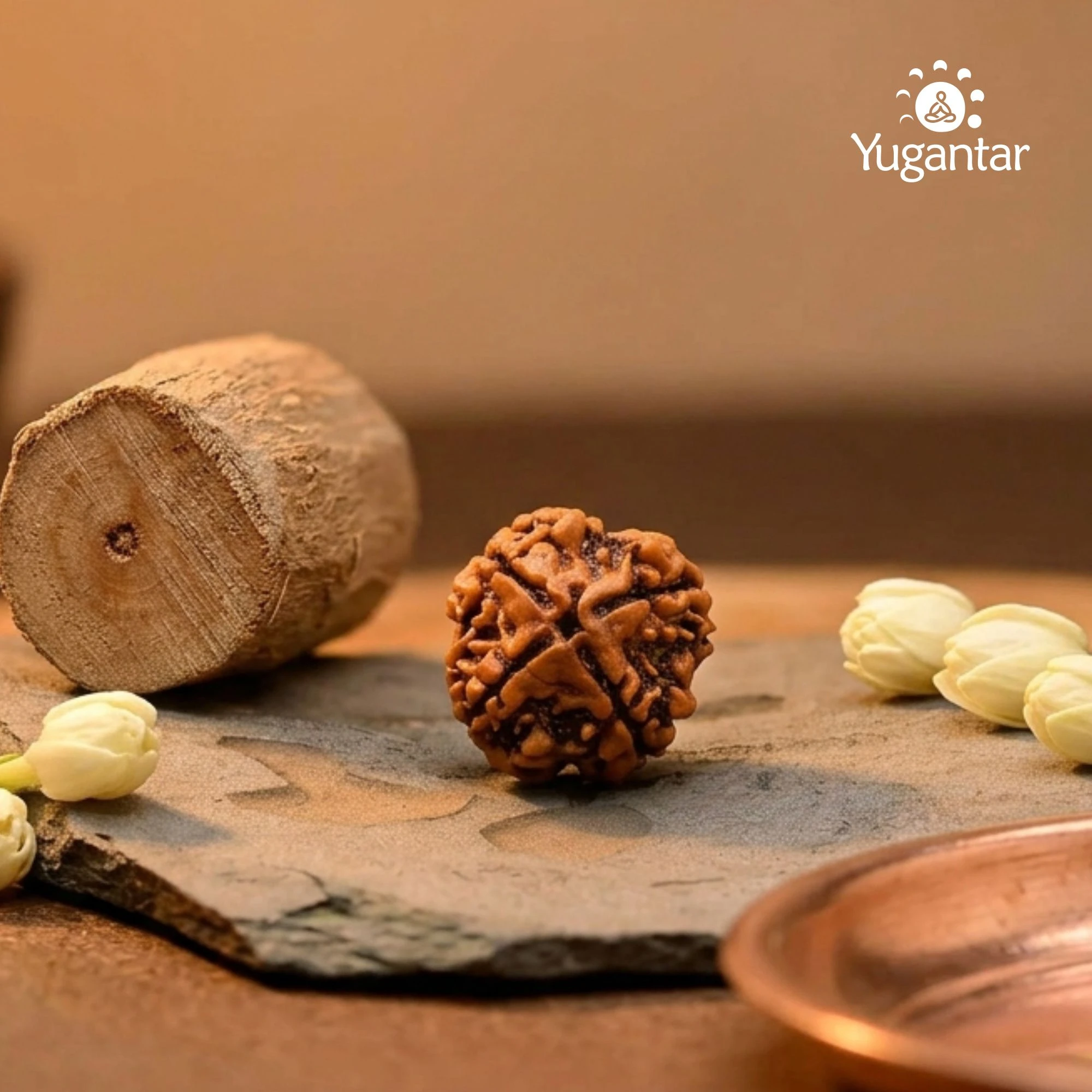 4 Mukhi Nepali Rudraksha - Chaar Mukhi